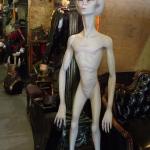 DSCF0463 ()